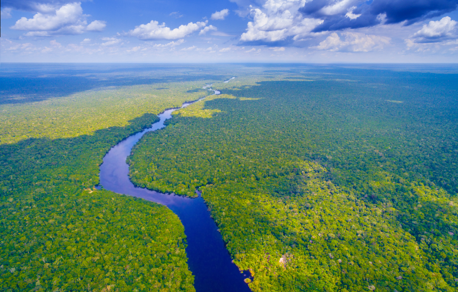 Aerial view of a river winding through dense forest